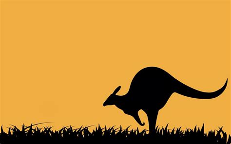 Cartoon Kangaroo Wallpaper