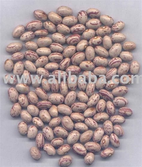 Agriculture Kidney Beans ,White Beans ,Mug Beans products,Cameroon Agriculture Kidney Beans ...