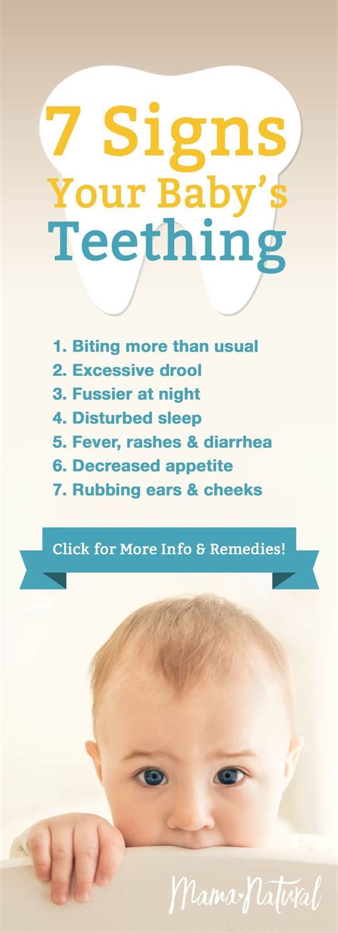 Teething Symptoms: 7 Signs Your Baby is Teething | Baby teeth, Baby teething symptoms, Teething ...