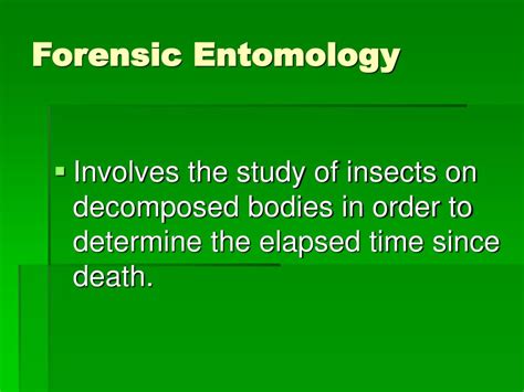 PPT - Forensic Entomology PowerPoint Presentation, free download - ID:477036