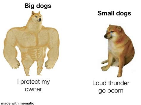 Big dog Little dog : r/AnimalMemes