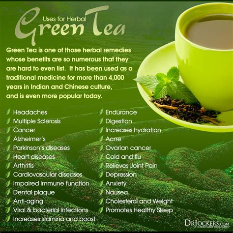 Top 10 Health Benefits of Green Tea - DrJockers.com