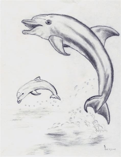 Dolphins Jumping from Water by BrellMacCahon on DeviantArt