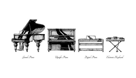 5 Different Types of Piano - MusicalHow