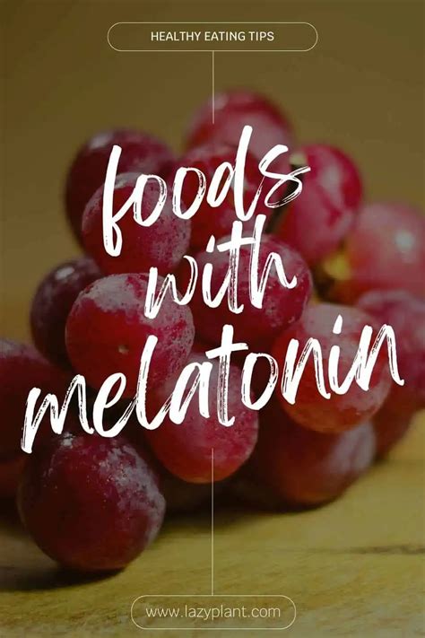 A list of foods high in melatonin. - LazyPlant