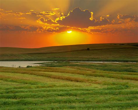 Sunset Over Harvested Canola Field Photograph by Yves Marcoux