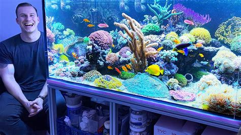 Saltwater Aquarium Tanks