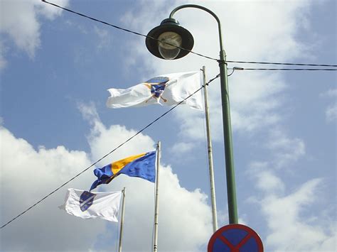 I LOVE BOSNIA VOLIM TE: Bosnian Flags ARBiH, War time flag and modern ...