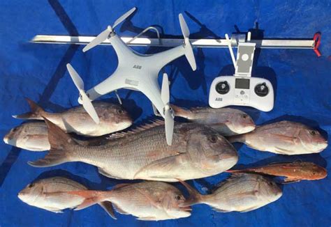 Drone Fishing Demonstrations and Catch Reports