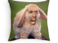 45 Cursed Nicholas Cage ideas | nicolas cage, cage, memes