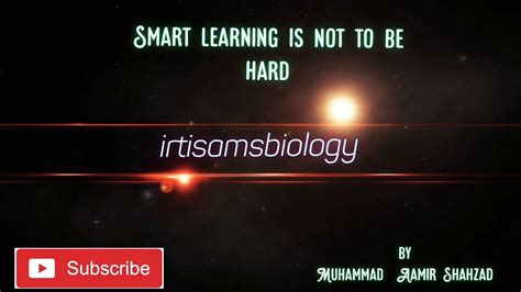 carbohydrates || FSC biology book, lec 04|| by irtisamsbiology - YouTube