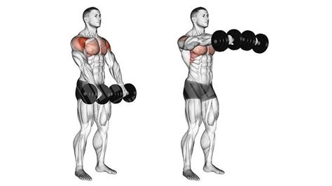 20 Lateral Raise Exercises for Building Broad Shoulders in 2022 | Lateral raises, Broad ...