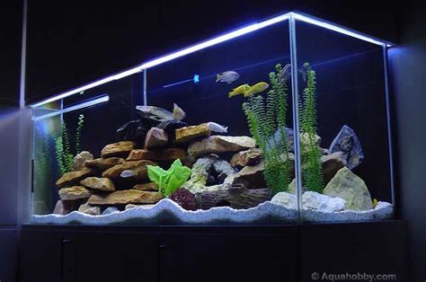 African Cichlids Tank Setup Ideas