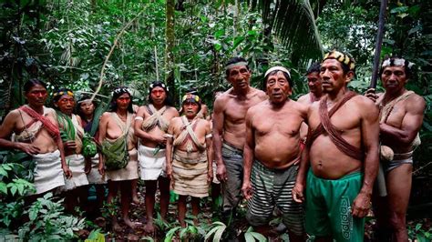 Life and culture of Huaorani tribe - an Indigenous community in the Amazon rainforest - World News