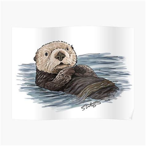 "Sea Otter Sketch" Poster for Sale by slaterza | Redbubble