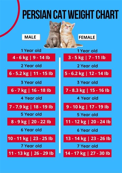 Cat Weight Chart By Age & Height In Kg, Ibs ⚖