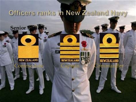 Royal new zealand navy