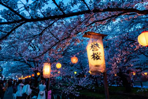 Ultimate Guide to the Cherry Blossom Festival in Japan [2023]