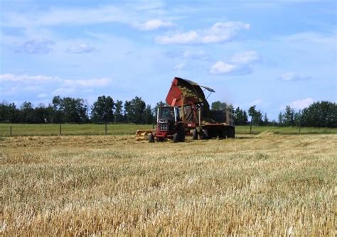 How to Make Silage: 12 Steps (with Pictures) - wikiHow