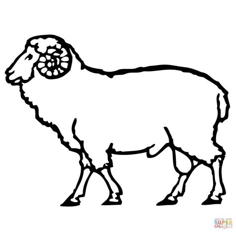 Simple Lamb Drawing at GetDrawings | Free download