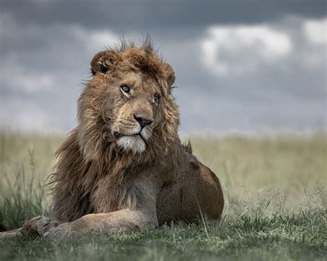 Africa’s Best Wildlife Photography Locations and When to Visit Them | PetaPixel