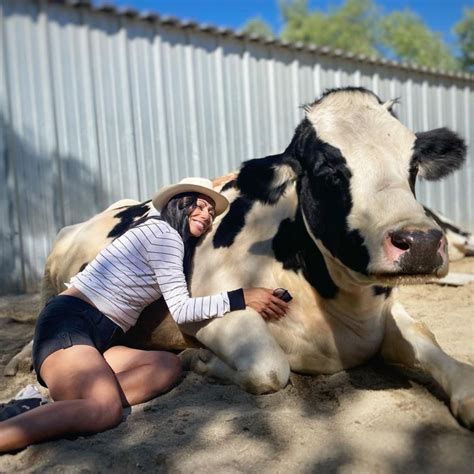 Cow Hug Therapy: Is This What Our Mental Health Truly Need?