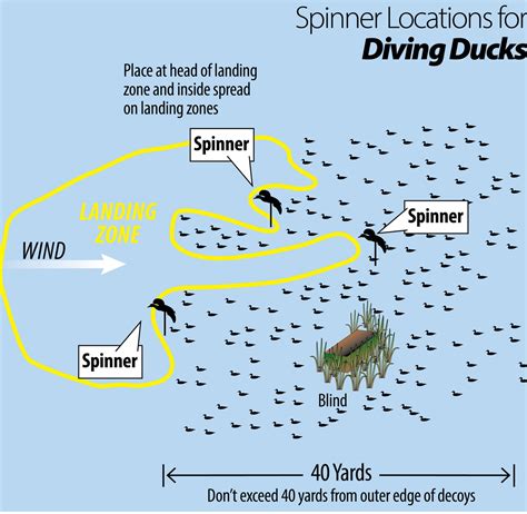 20+ Duck Decoy Spreads Diagrams - LagerthaVogue