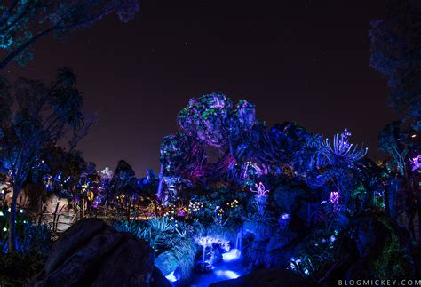 PHOTOS + VIDEO: Pandora - The World of Avatar Comes Alive at Night ...