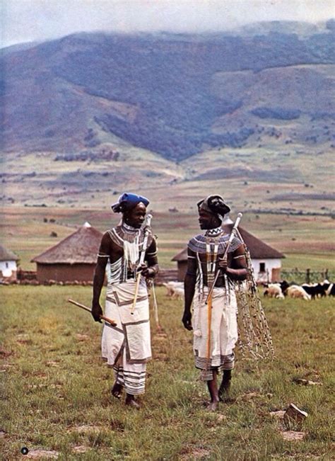 30 best Xhosa images on Pinterest | Xhosa, South africa and Traditional dresses