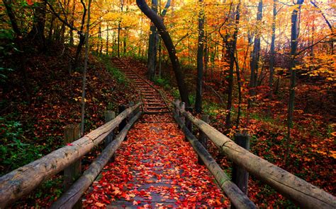 Bridge Autumn Wallpapers - Wallpaper Cave