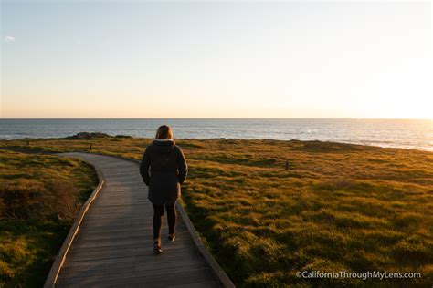 12 Things to do in Cambria: Restaurants, Hikes, Beaches & More ...