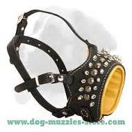 Padded Leather Dog Muzzle with Spikes for all Breeds [M61##1079 Leather spiked and studded ...