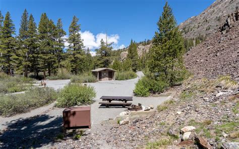 Campgrounds in the Lee Vining Area - 395 Guide