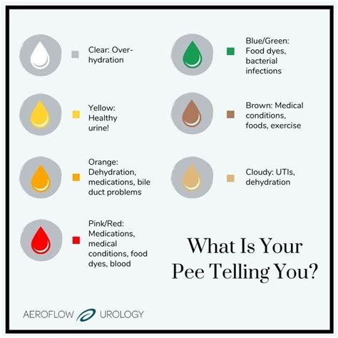 Dark Urine Color Chart