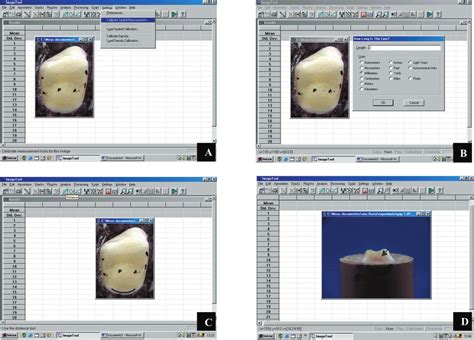 Sequence of gap measurements. A and B: Calibration of measurements to ...