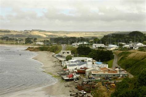 1000+ images about New Zealand - Chatham Islands on Pinterest | The journal, New zealand and A rat