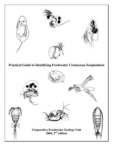 Freshwater Phytoplankton Identification Guide