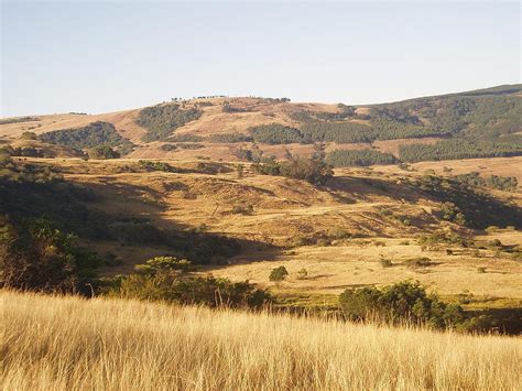 African Plains Photograph by Judy Schneider