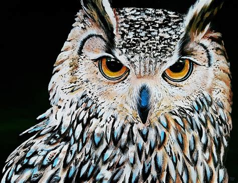 Acrylic Paintings Of Owls - Best Painting Collection