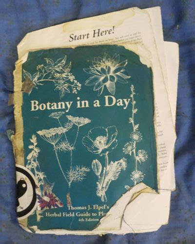 Botany in a Day (APG): The Patterns Method of Plant Identification ...