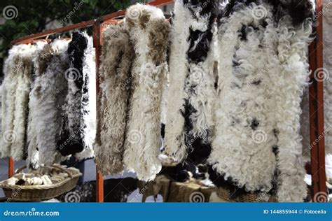 Sheep wool clothing stock photo. Image of animal, design - 144855944