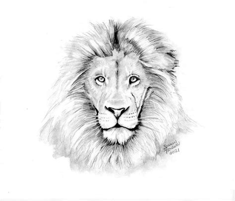 Detailed Lion Drawings In Pencil