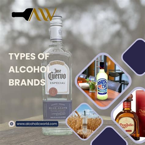 All You Need to Know About All Types of Alcohol Brands and Their Unique Flavours - Alcoholic ...