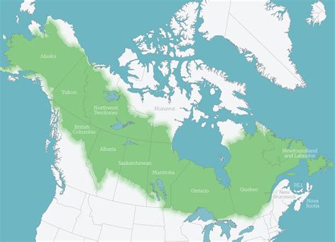 Boreal Forest | Boreal Songbird Initiative