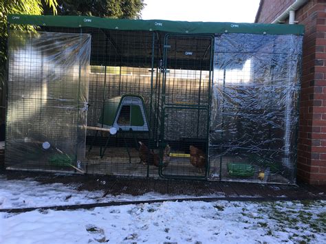 Walk in Chicken Run | Large Outdoor Chicken Enclosure