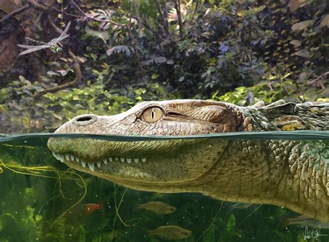 Ancient Alligator Species Identified as Ancestor to Modern-Day Chinese Gators - unfoldingmatrix