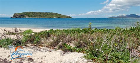 Vieques Puerto Rico Attractions. Small Island, Magnificent Attractions. Vieques, PR.