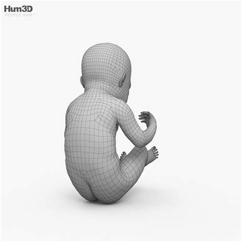 The Baby in womb 3D model | CGTrader