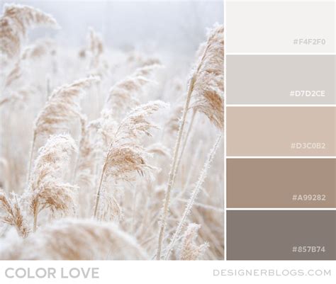 Color Love | Soft Neutrals - Designer Blogs