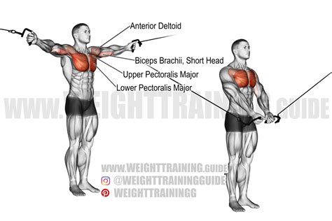 Standing high to low cable fly exercise instructions and video